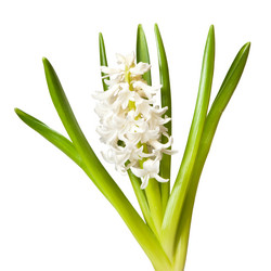 Similar image 124060