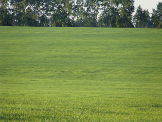 Similar image 124065