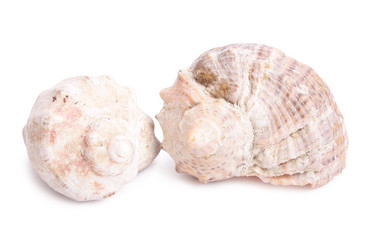 Similar image 124111