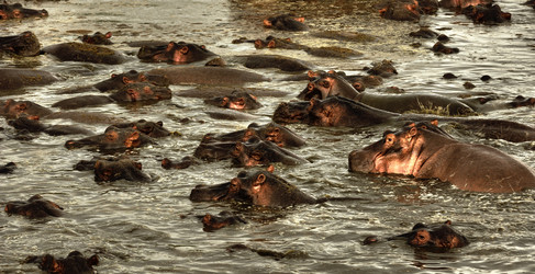 Similar image 124112