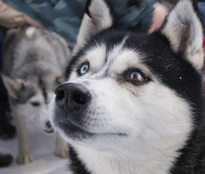 Similar image 124113