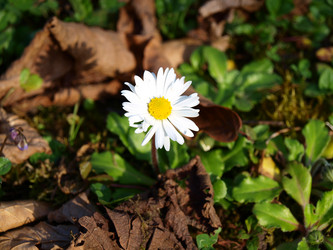 Similar image 124134