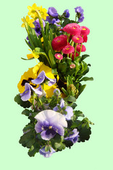 Similar image 124136