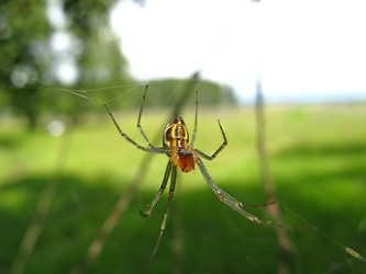 Similar image 124151