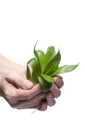 Similar image 124156