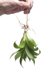 Similar image 124160