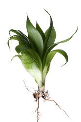 Similar image 124161