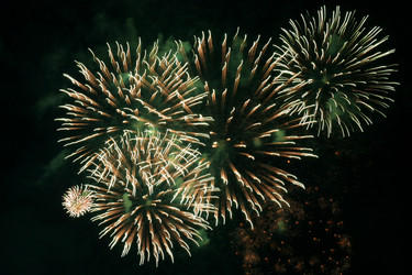 Similar image 124171