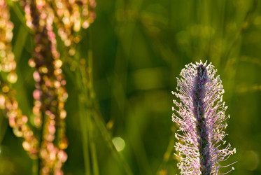 Similar image 124187