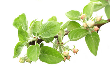 Similar image 124193