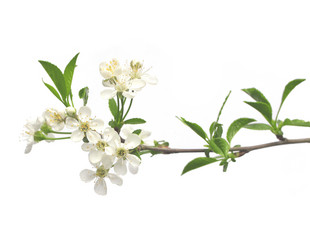 Similar image 124196