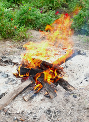 Similar image 124203