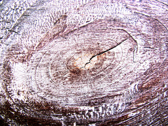 Similar image 124209