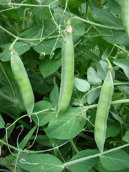 Similar image 124224