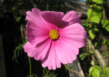 Similar image 124230