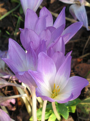 Similar image 124232