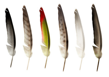 Similar image 124235