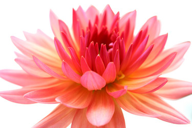 Similar image 124266