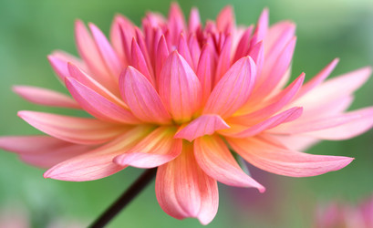 Similar image 124267