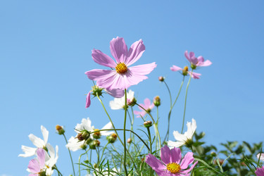 Similar image 124268