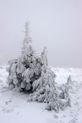 Similar image 124288