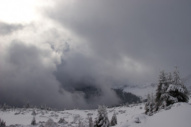 Similar image 124289