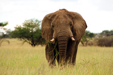 Similar image 124319