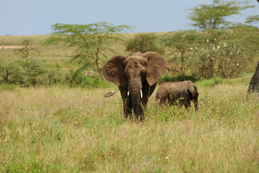 Similar image 124320