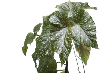 Similar image 124324