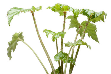 Similar image 124325