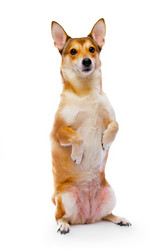 Similar image 124330