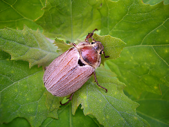 Similar image 124337