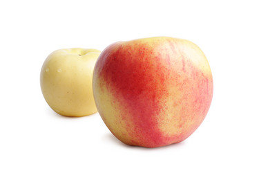 Similar image 124342