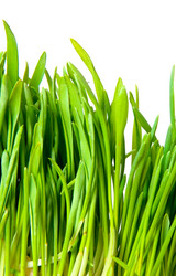 Similar image 124358