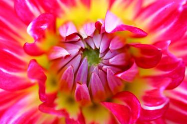 Similar image 124360