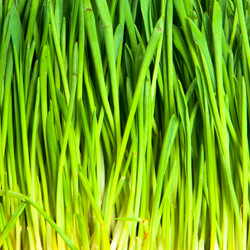 Similar image 124362