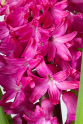 Similar image 124382