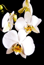 Similar image 124383