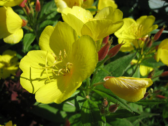 Similar image 124426