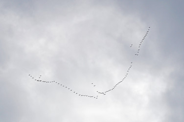 Similar image 124450