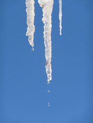 Similar image 124462