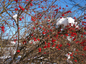 Similar image 124474