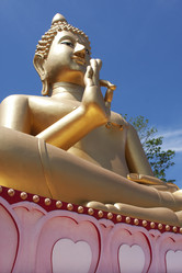 Similar image 124487