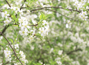 Similar image 124494