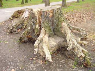 Similar image 124542