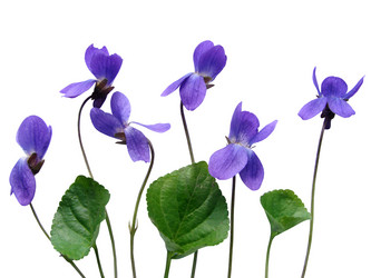 Similar image 124545