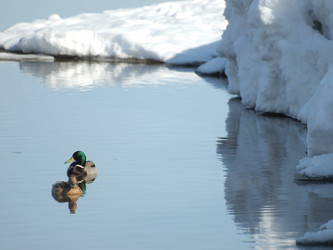 Similar image 124579