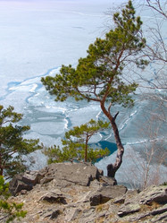 Similar image 124608