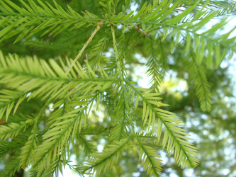 Similar image 124658