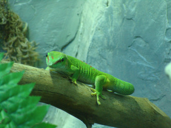 Similar image 124661